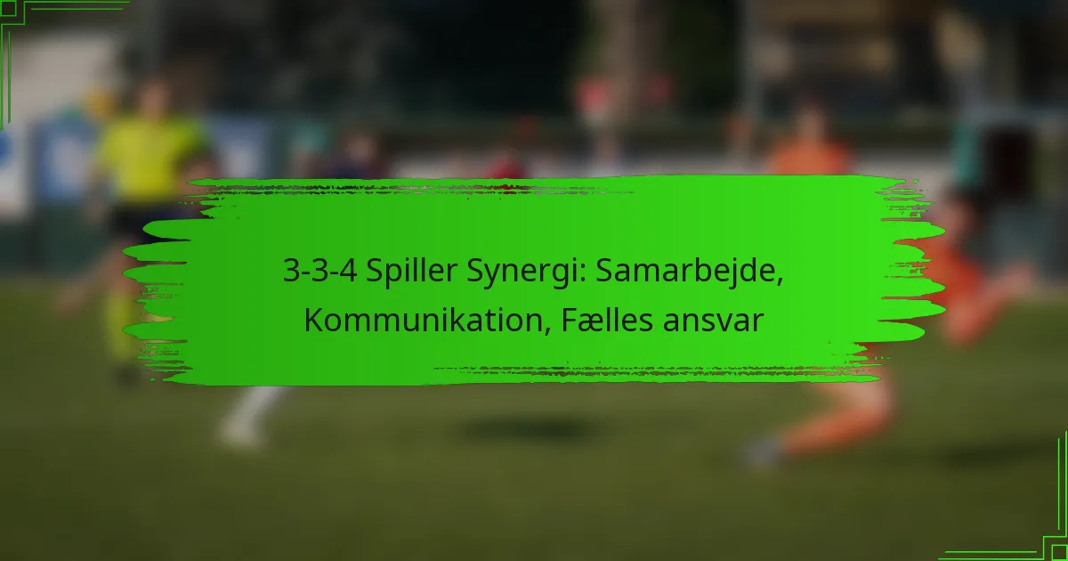 3-3-4 Spiller Synergi: Samarbejde, Kommunikation, Fælles ansvar